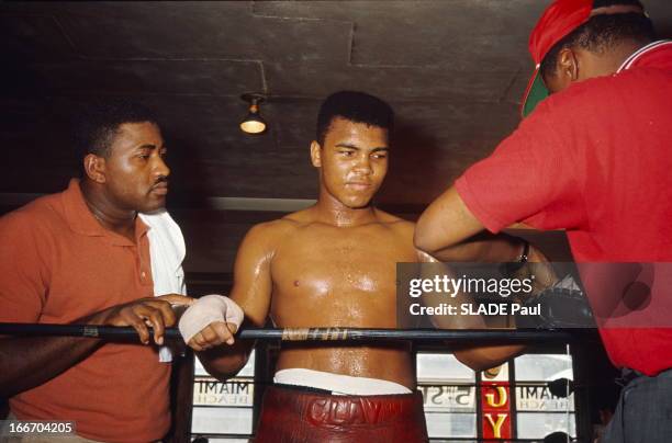 Cassius Clay Prepares His Match Against Sonny Liston In Miami. Miami, février 1964 : Cassius CLAY , 22 ans, prépare son combat contre le champion du...