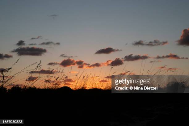 sunrise on the cami de cavalls, north coast, minorca - cavalls stock pictures, royalty-free photos & images