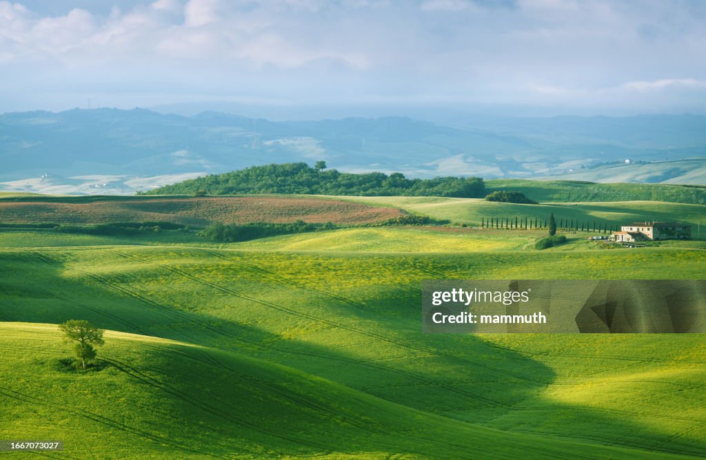 Green hills of Tuscany in the morning sunlight - italian landscape