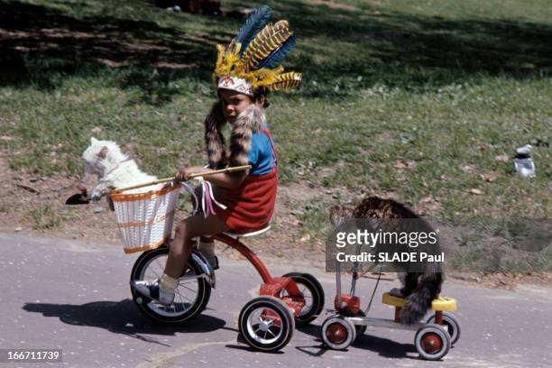 Child And Cats. Aux Etats-Unis, en 1972, un enfant déguisé en indien avec une coiffure à plume, sur un vélo tricycle, transportant deux chats, l'un...
