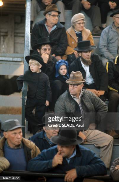 The Amish Of New Holland In Pennsylvania. En Pennsylvanie, dans la ville de New-Hollande, dans une tribune, parmi des spectateurs, deux hommes vêtus...
