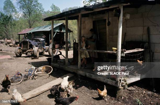 Appalachian Valley. Dans le nord-est américain, dans les Appalaches, deux baraques, dans une cour en terre battue, où picorent des poules et où...