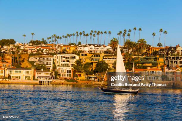 sailing in newport beach, california (p) - newport beach california stockfoto's en -beelden