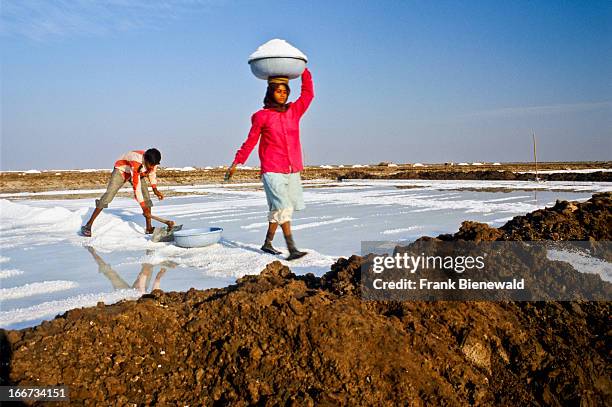 All the transport of the salt is done by hand at the salt-pans in Maliya..