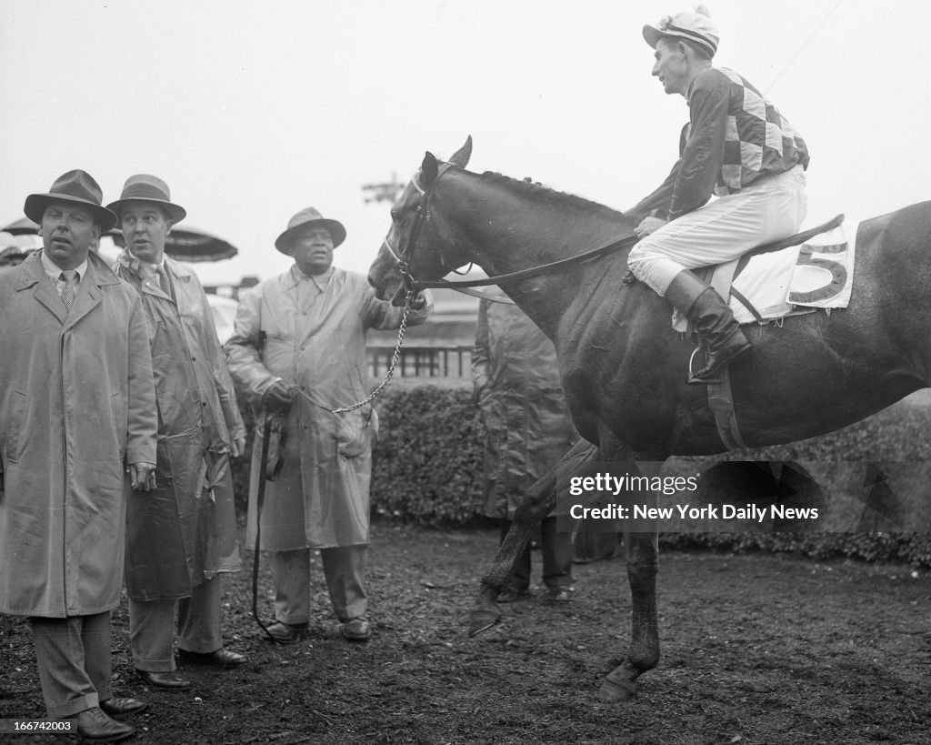 Native Dancer Race Horse