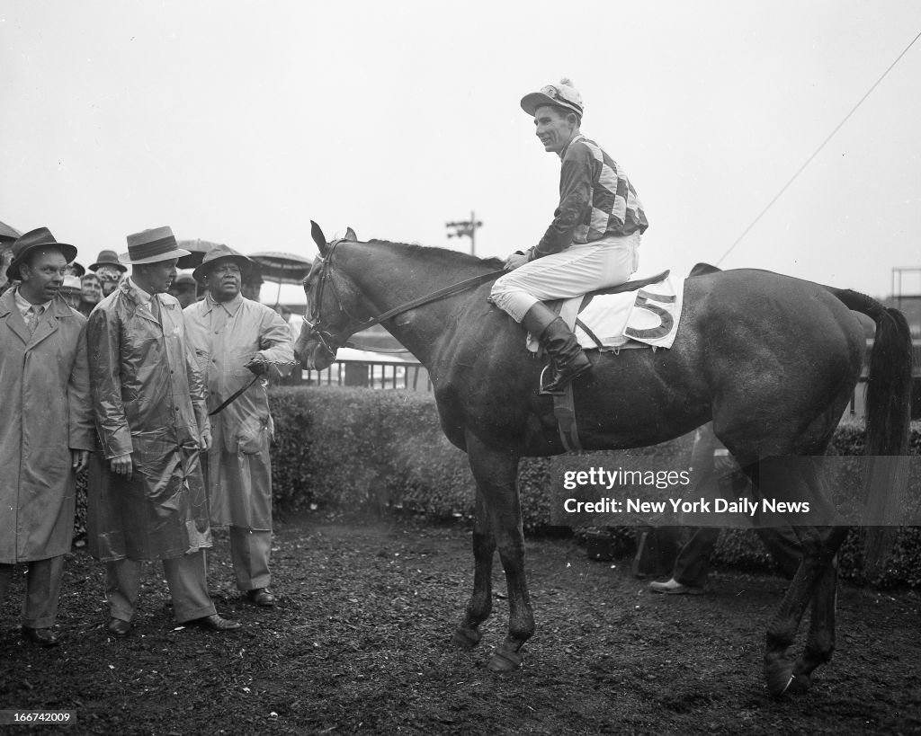 Native Dancer Race Horse