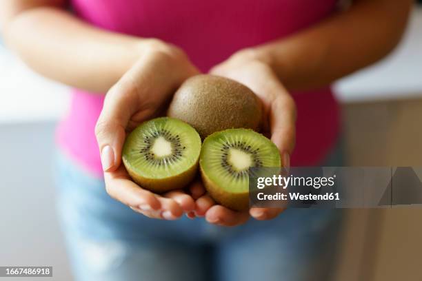 hands of woman holding kiwi fruits - kiwi fruit 個照片及圖片檔