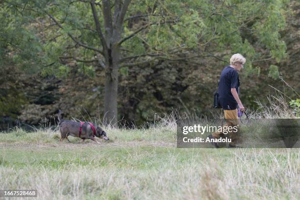 Woman takes her dog to walk as dogs, that are not adopted within one week, are euthanized in London, United Kingdom on September 13, 2023. In...