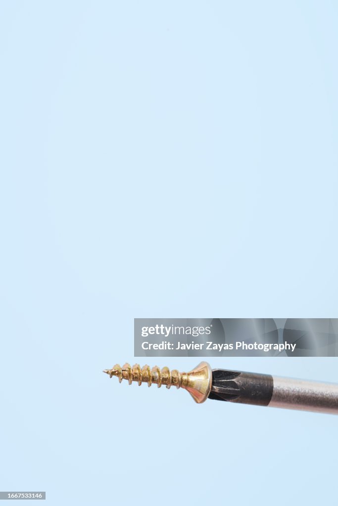 Self Tapping Screw Attached on the Top of a Screwdriver