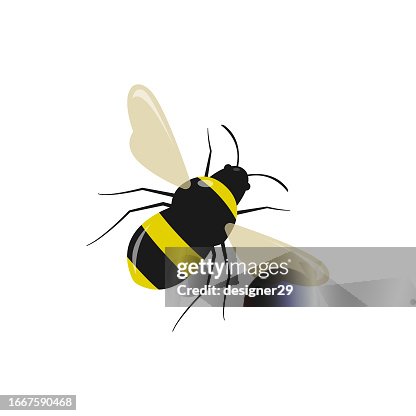 Bee Icon Vector Design on White Background. Bee Icon Vector Design on White Background.