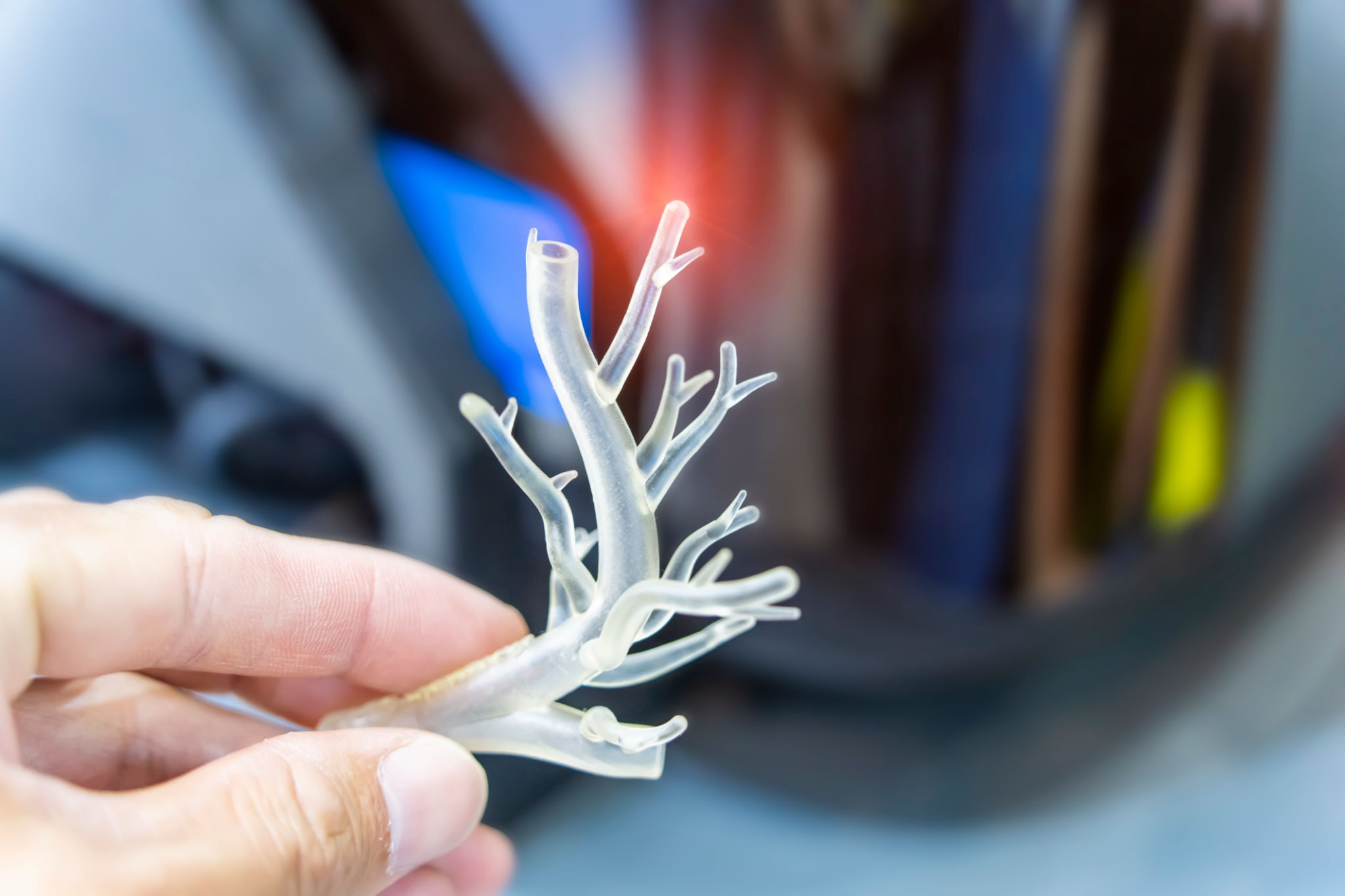 3d printing anatomy