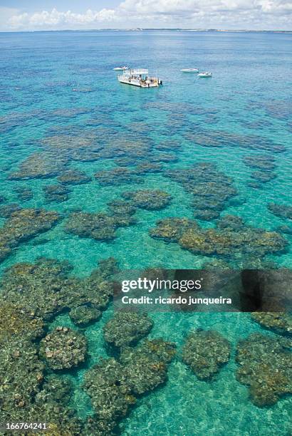 maracajau reefs - maracajau imagens e fotografias de stock