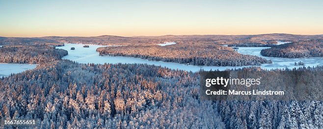 Paysage forestier nordique d’hiver Paysage forestier nordique d’hiver