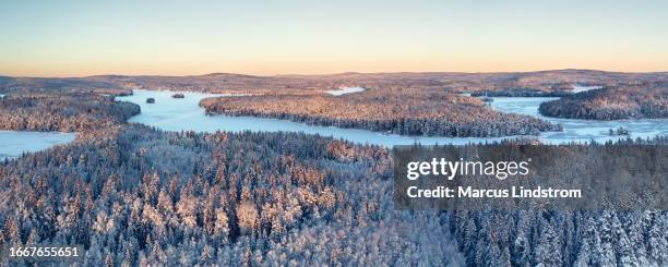 nordic winter forest landscape - winter wilderness stock pictures, royalty-free photos & images