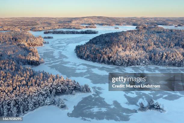 nordische wald- und seenlandschaft im winter - taiga stock-fotos und bilder