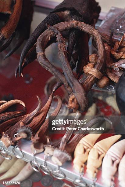 Wild endangered animal parts for sale at a stall in the market at Taichilek which is famed for trade in endangered species as well as illegal...