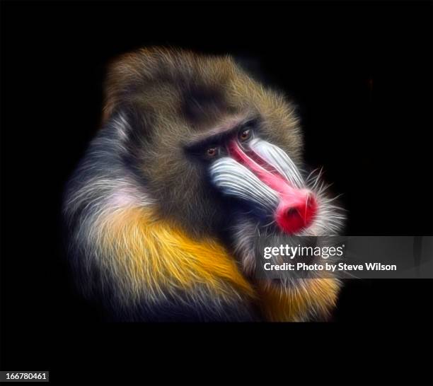 Mandrill