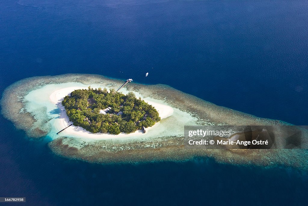 Maldives island / Île Maldives