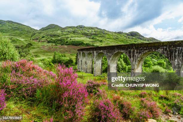 glenfinnan viaduct at glenfinnan - scotland, uk - glenfinnan viaduct stockfoto's en -beelden