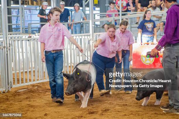Emma Hartman shows her pig, with the help of her partners, Mason Smith and Preslee Mauro, during the Pearland Partner Livestock Show at the Richard...