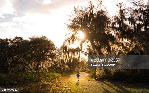 old nature area south central florida, child on a walk outdoors with old oak trees, sunflare and lush spanish moss - south florida v central florida stock pictures, royalty-free photos & images