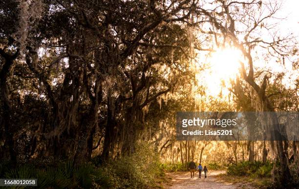 old nature area south central florida, family on a walk outdoors with old oak trees, sunflare and lush spanish moss - orlando florida family stock pictures, royalty-free photos & images