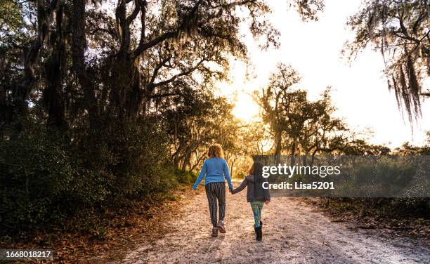 old nature area south central florida, children on a walk outdoors with old oak trees, sunflare and lush spanish moss - orlando florida family stock pictures, royalty-free photos & images