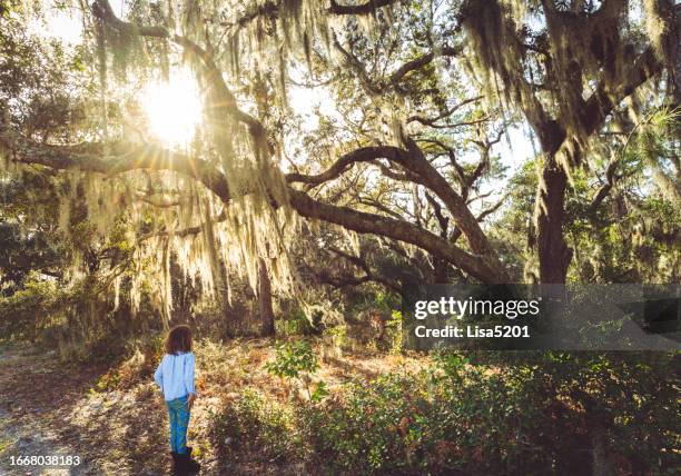 child playing outdoors in idyllic old south florida with spanish moss sunflare and lush beautiful forest woodland - plantation florida stock pictures, royalty-free photos & images