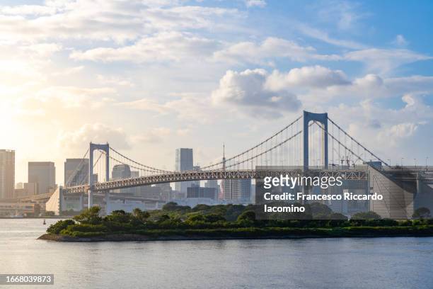 tokyo, skyline from odaiba. japan - bay of water stock pictures, royalty-free photos & images