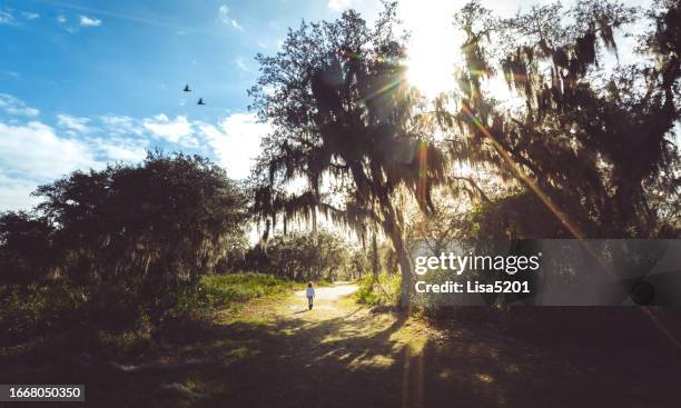child playing outdoors in idyllic old south florida with spanish moss sunflare and lush beautiful forest woodland - plantation florida stock pictures, royalty-free photos & images