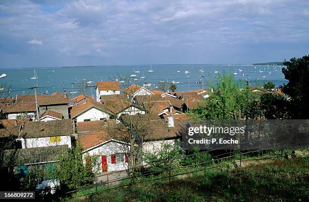 cap-ferret - cap ferret stock pictures, royalty-free photos & images