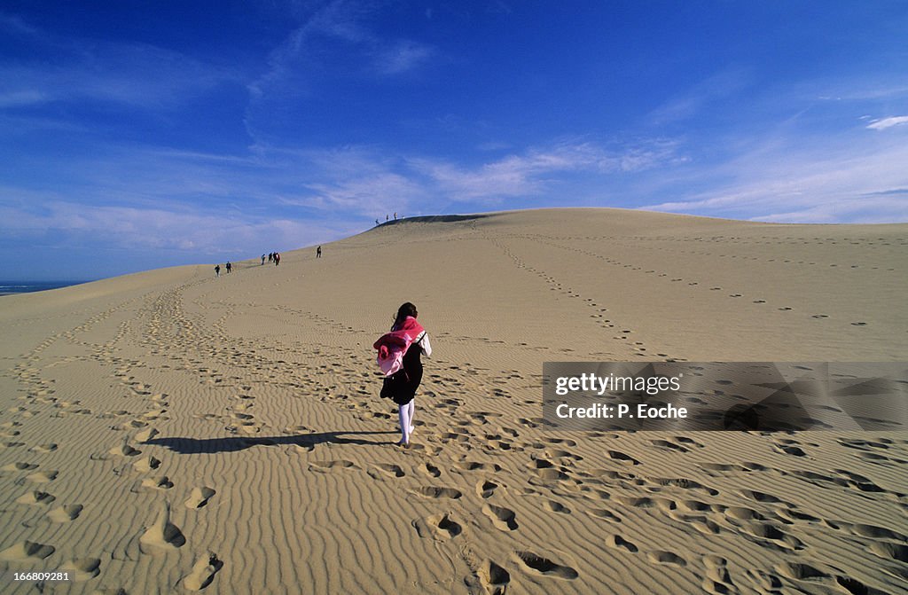 The Dune du Pilat