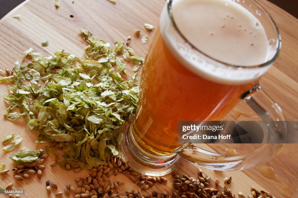 Draft beer in glass with hops and barley on table