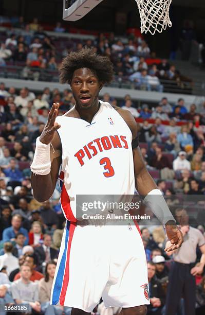 Forward Ben Wallce of the Detroit Pistons looks on against the New Orleans Hornets during the game at the Palace of Auburn Hills on November 12, 2002...