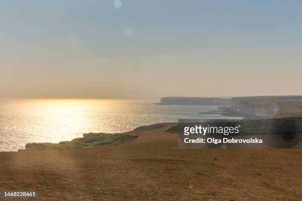 on top of the white cliff at sunset - seven sisters cliffs stockfoto's en -beelden