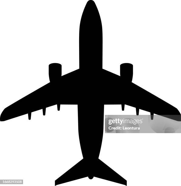 stockillustraties, clipart, cartoons en iconen met plane silhouette - kikvors perspectief