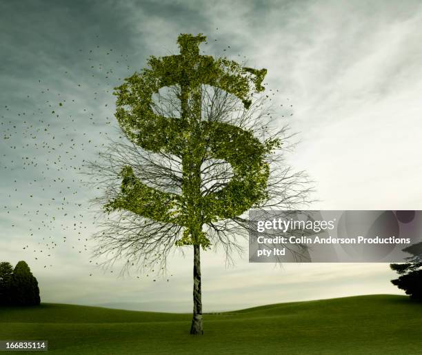 dollar sign carved in tree in field - new zealand exchange stock pictures, royalty-free photos & images