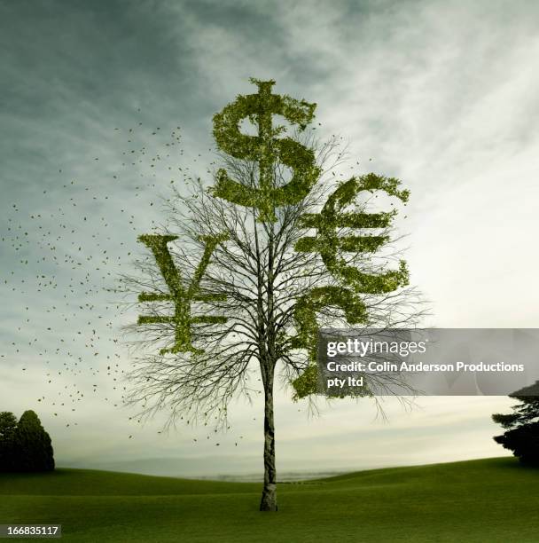 currency symbols carved in tree in field - new zealand money photos et images de collection