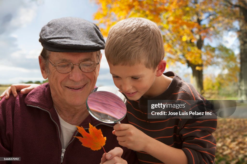 Older Caucasian man and grandson examining autumn leaf