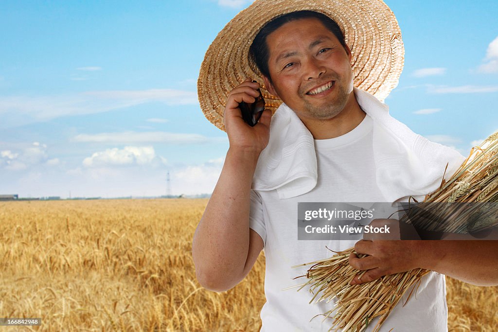 Farmer holding wheat and making phone call