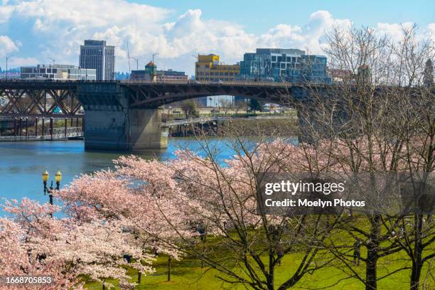 1,447 Portland Oregon Spring Stock Photos, High-Res Pictures, and ...