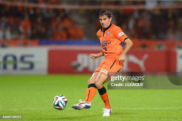 Dejan Jakovic of Shimizu S-Pulse in action during the J.League J1 match between Shimizu S-Pulse and Sanfrecce Hiroshima at IAI Stadium Nihondaira on...