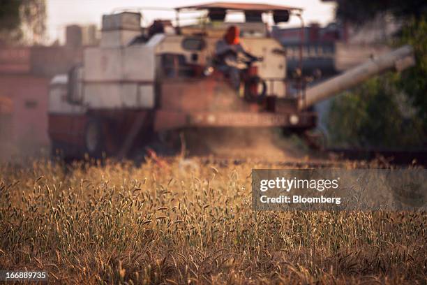 Wheat is harvested with a Punjab Tractors Ltd. Swaraj 8100 combine harvester in the district of Jalandhar, Punjab, India, on Monday, April 15, 2013....
