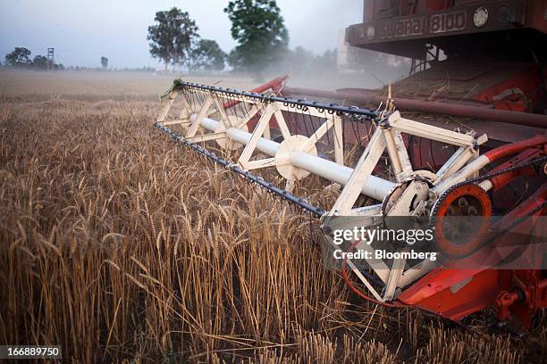 Wheat is harvested with a Punjab Tractors Ltd. Swaraj 8100 combine harvester in the district of Jalandhar in Punjab, India, on Monday, April 15,...