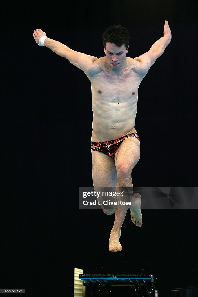 FINA/Midea Diving World Series 2013 - Previews