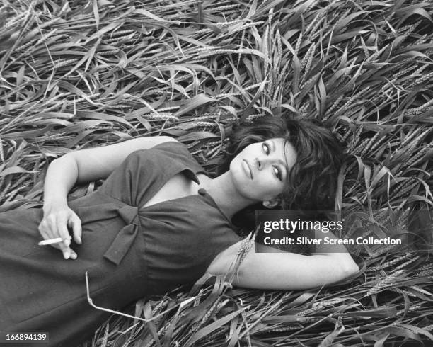 Italian actress Sophia Loren smoking a cigarette while lying in a field of corn, circa 1965.