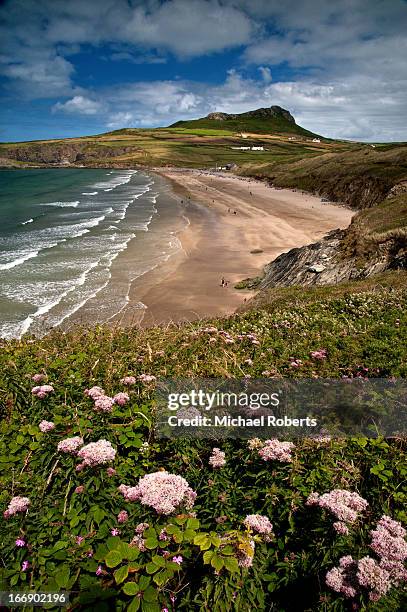 whitesands bay on the pembrokeshire coast path - pembrokeshire stock pictures, royalty-free photos & images