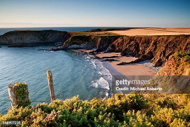 beach on the pembrokeshire coast path - wales stock pictures, royalty-free photos & images