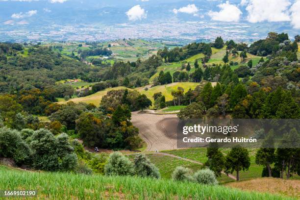 view of rainforest - cartago province stock pictures, royalty-free photos & images
