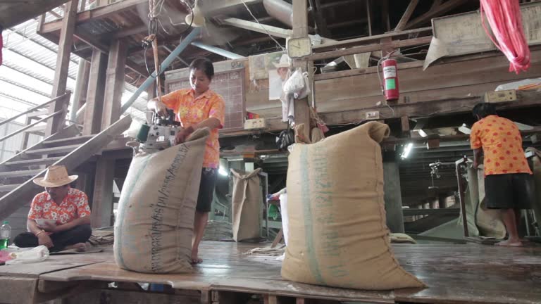 Packaging Rice Process 212 Rice Packaging Stock Videos, Footage, & 4K Video Clips - Getty Images